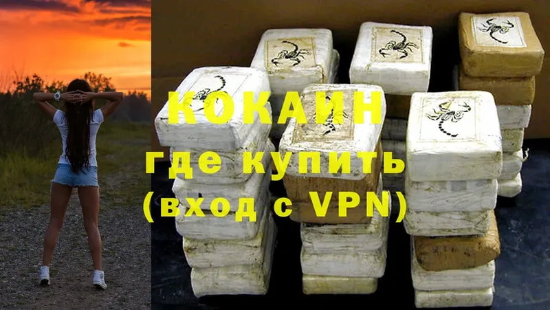 где купить   Ершов  COCAIN VHQ 