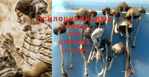 герыч Новый Уренгой