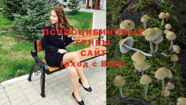 соль ск Артём