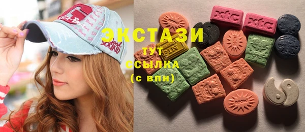 соль ск Артём