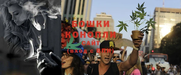соль ск Артём